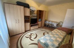 Garsonieră de vânzare, 23 mp, zona-Dumbrava 2