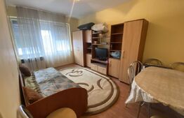 Garsonieră de vânzare, 23 mp, zona-Dumbrava 2