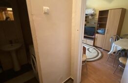 Garsonieră de vânzare, 23 mp, zona-Dumbrava 2