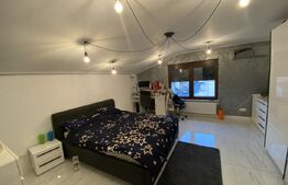 Casa de vanzare 4 camere, 245 mp, in zona centala 