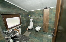 Casa de vanzare 4 camere, 245 mp, in zona centala 