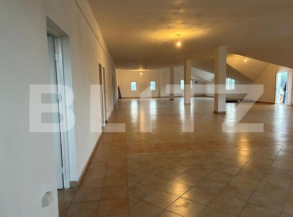 Spațiu comercial de închiriat Panic - 162702SIC | BLITZ Zalău | Poza2