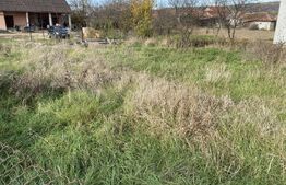 Teren intravilan Varsolt in suprafata de 400mp si 1200 mp extravilan