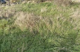 Teren intravilan Varsolt in suprafata de 400mp si 1200 mp extravilan