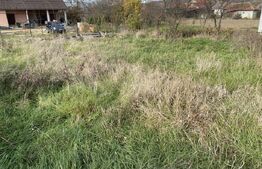 Teren intravilan Varsolt in suprafata de 400mp si 1200 mp extravilan