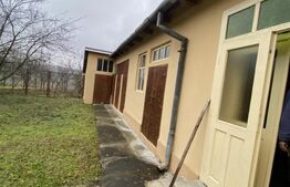 Casă cu anexe și 40 ari de grădină 