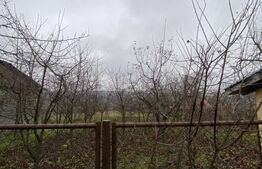 Casă cu anexe și 40 ari de grădină 