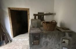 Casă cu anexe și 40 ari de grădină 