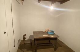 Casă cu anexe și 40 ari de grădină 