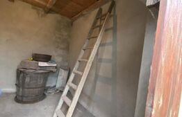 Casă cu anexe și 40 ari de grădină 