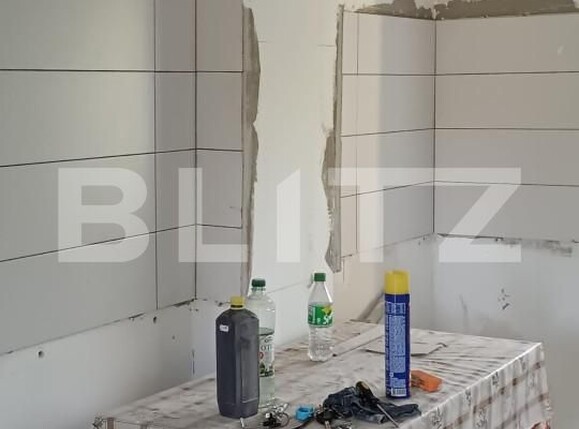 Casa de vânzare 2 camere Romanasi - 163139CV | BLITZ Zalău | Poza3