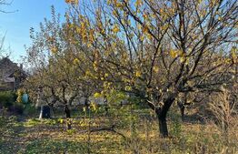 Casa de vanzare in suprafat utila de 100 mp si 1400 mp teren