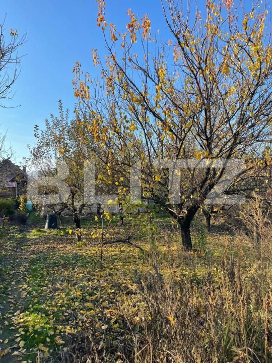 Casa de vânzare 5 camere Pericei - 163278CV | BLITZ Zalău | Poza10