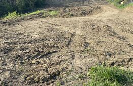 Teren intravilan cu toate utilitatile, 2000 mp, zona Episcopiei