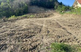 Teren intravilan cu toate utilitatile, 600 mp, zona Episcopiei