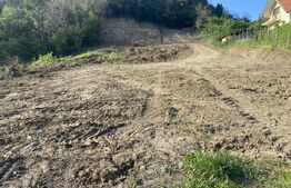 Teren intravilan cu toate utilitatile, 2000 mp, zona Episcopiei