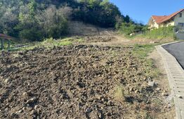 Teren intravilan cu toate utilitatile, 600 mp, zona Episcopiei