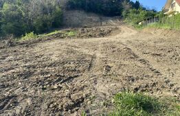 Teren intravilan cu toate utilitatile, 2000 mp, zona Episcopiei