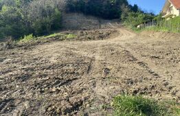 Teren intravilan cu toate utilitatile, 2000 mp, zona Episcopiei