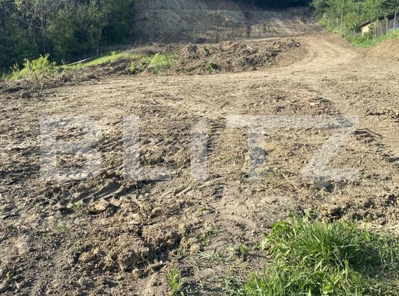 Teren de vânzare Exterior-Sud - 163331TV | BLITZ Zalău | Poza9