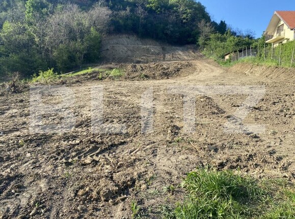 Teren de vânzare Exterior-Sud - 163331TV | BLITZ Zalău | Poza4