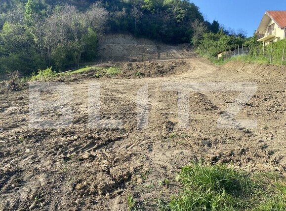 Teren de vânzare Exterior-Sud - 163331TV | BLITZ Zalău | Poza3