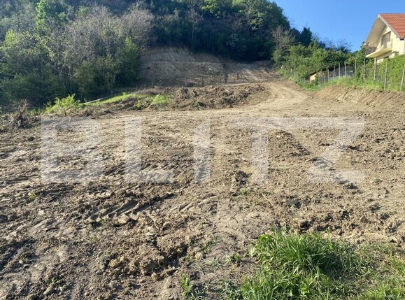 Teren de vânzare Exterior-Sud - 163331TV | BLITZ Zalău | Poza6