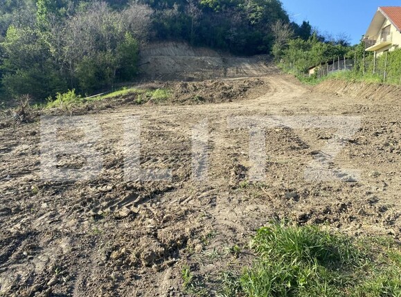 Teren de vânzare Exterior-Sud - 163331TV | BLITZ Zalău | Poza11