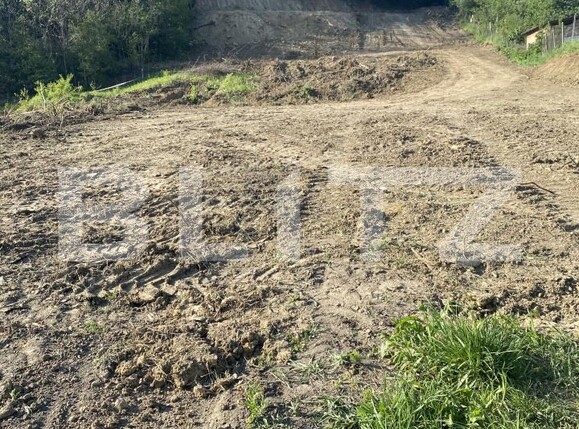 Teren de vânzare Exterior-Sud - 163331TV | BLITZ Zalău | Poza10