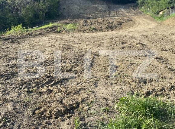 Teren de vânzare Exterior-Sud - 163331TV | BLITZ Zalău | Poza12