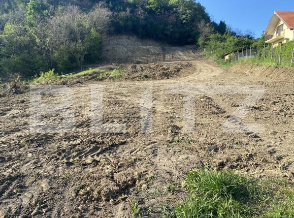Teren de vânzare Exterior-Sud - 163331TV | BLITZ Zalău | Poza2