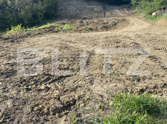 Teren de vânzare Exterior-Sud - 163331TV | BLITZ Zalău | Poza13