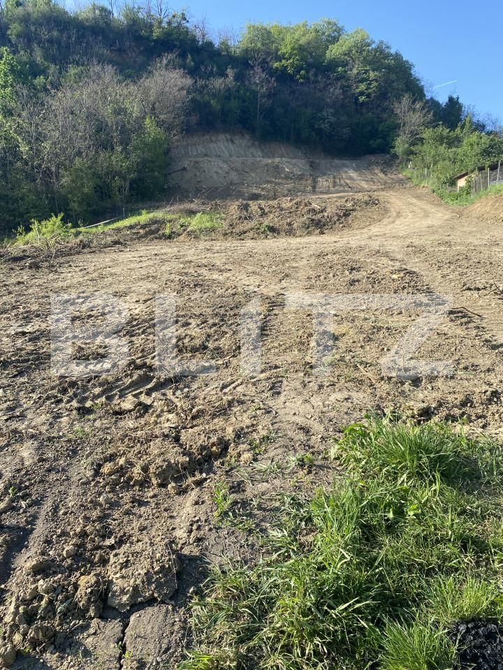 Teren de vânzare Exterior-Sud - 163331TV | BLITZ Zalău | Poza10