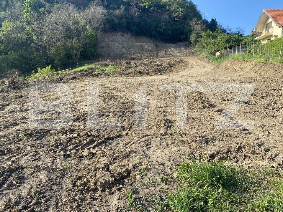 Teren de vânzare Exterior-Sud - 163331TV | BLITZ Zalău | Poza8