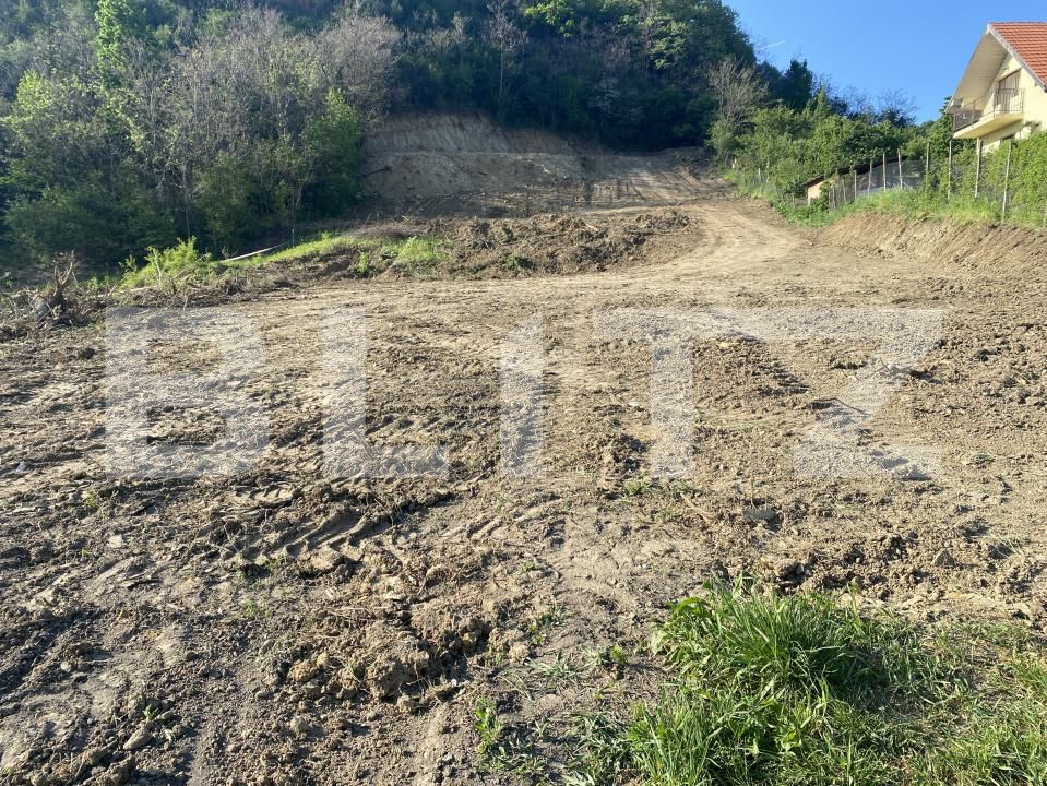 Teren de vânzare Exterior-Sud - 163331TV | BLITZ Zalău | Poza11