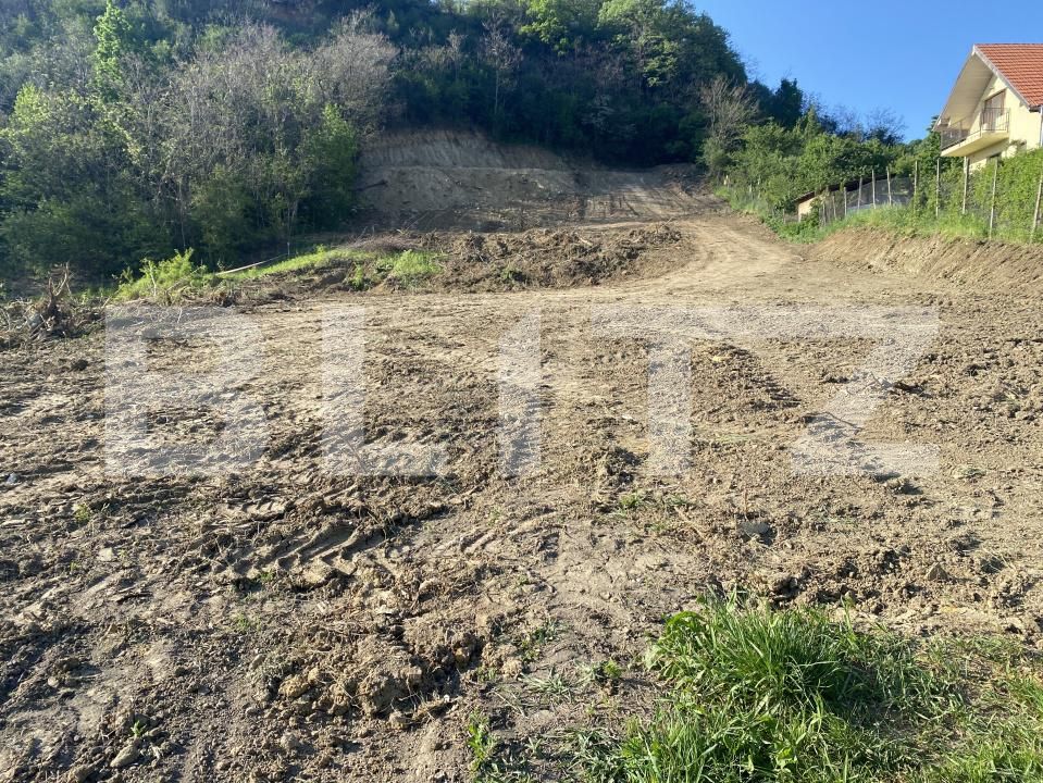 Teren de vânzare Exterior-Sud - 163331TV | BLITZ Zalău | Poza2