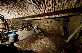 Casa de vanzare, cu gradina