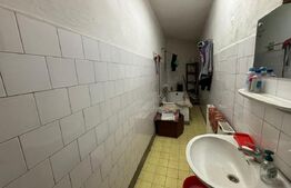 Casa de vanzare, cu gradina