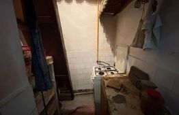 Casa de vanzare, cu gradina