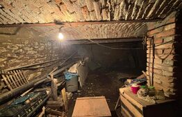 Casa de vanzare, cu gradina