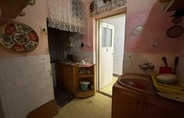 Casa de vanzare, cu gradina