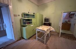 Casa de vanzare, cu gradina