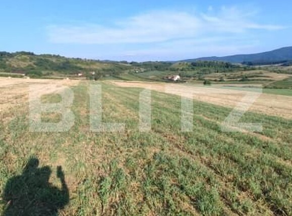 Teren de vânzare Aghires - 163532TV | BLITZ Zalău | Poza3