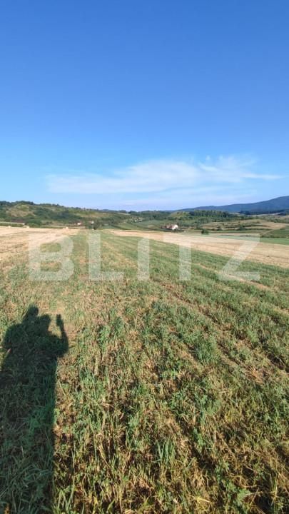 Teren de vânzare Aghires - 163532TV | BLITZ Zalău | Poza3