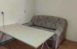 Casa de vanzare, cu gradina