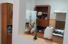 Casa de vanzare, cu gradina