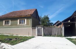 Casa de vanzare, cu gradina