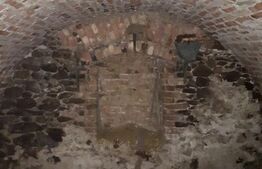 Casa de vanzare, cu gradina