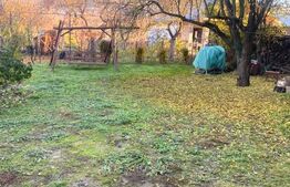 Casa de vanzare in Cuzaplac