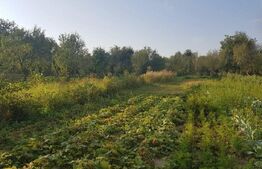 Casa cu anexe de vânzare 